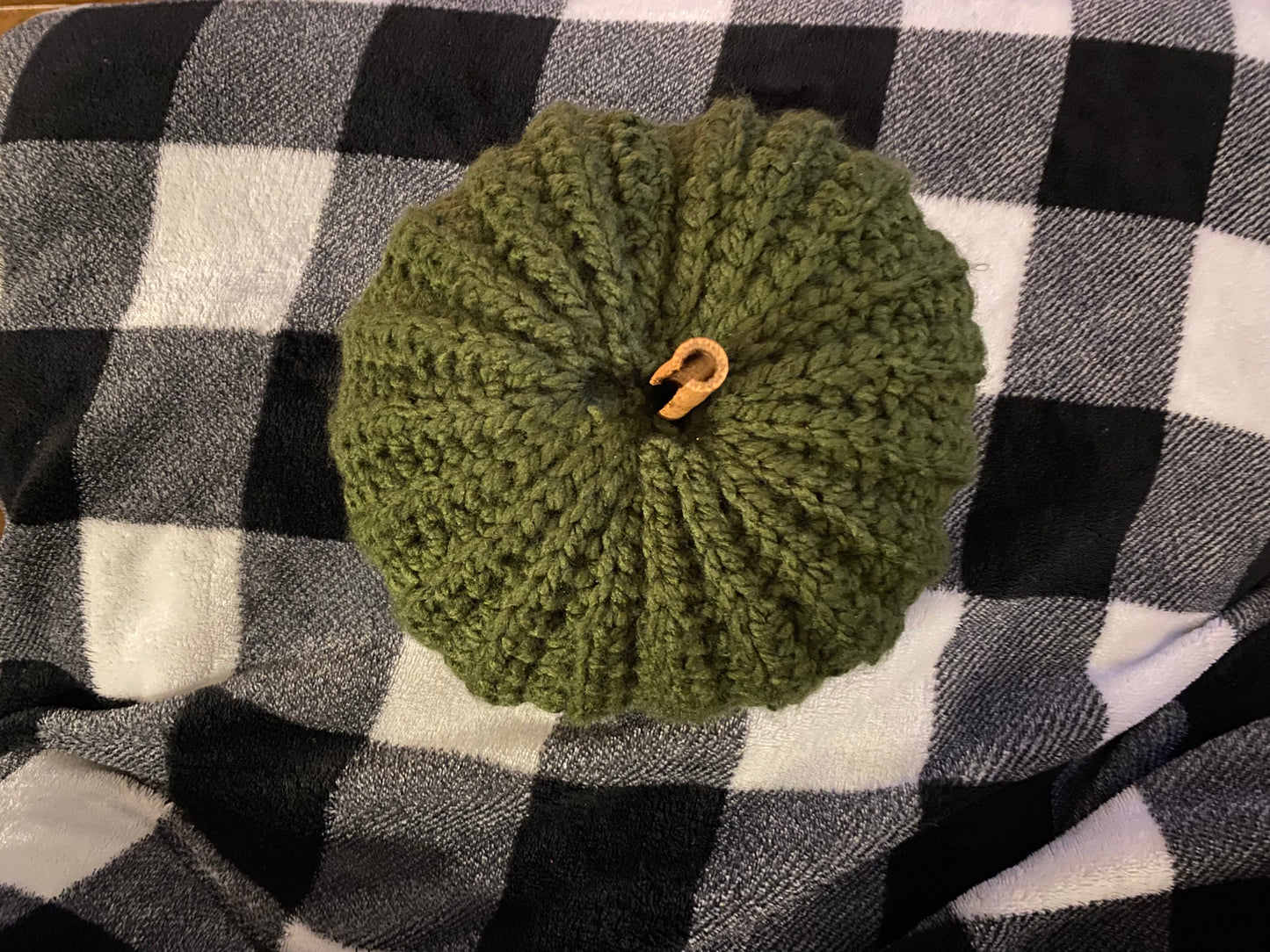 Green Pumpkin with a Cinnamon Stick Stem